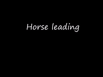 ANAC Activity2 Horse Leading