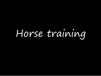 ANAC Activity2 Horse Training