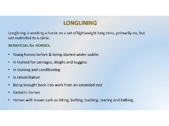 Nevsehir Activity2 Longlining